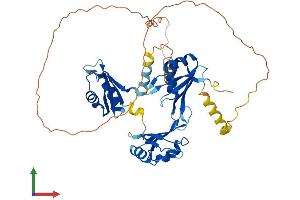 Protein Structure (PS) image for CUGBP, Elav-Like Family Member 3 (CELF3) (AA 1-465) protein (His tag) (ABIN7553232)