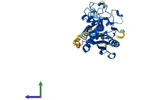 Protein Structure (PS) image for Globoside alpha-1,3-N-Acetylgalactosaminyltransferase 1 (GBGT1) (AA 1-347) protein (His tag) (ABIN7547916)