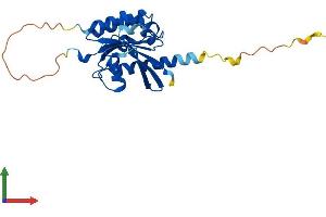 Protein Structure (PS) image for RAB20, Member RAS Oncogene Family (RAB20) (AA 1-233) protein (His tag) (ABIN7563163)