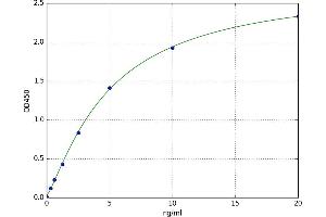 A typical standard curve (Annexin a1 ELISA 试剂盒)
