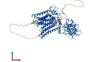 Protein Structure (PS) image for Protein-O-Mannosyltransferase 2 (POMT2) (AA 1-820) protein (His tag) (ABIN7558573)