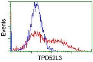 HEK293T cells transfected with either RC205471 overexpress plasmid (Red) or empty vector control plasmid (Blue) were immunostained by anti-TPD52L3 antibody (ABIN2455917), and then analyzed by flow cytometry. (TPD52L3 抗体)