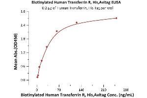 Immobilized Human Transferrin, His Tag (ABIN2181871,ABIN2181870) at 2 μg/mL (100 μL/well) can bind Biotinylated Human Transferrin R, His,Avitag (ABIN6973288) with a linear range of 2-63 ng/mL (QC tested). (Transferrin Receptor Protein (AA 89-760) (AVI tag,His tag,Biotin))