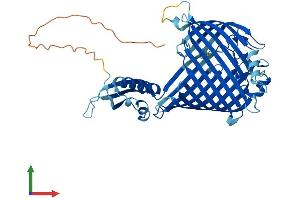 AlphaFold protein structure predicition of Human Recombinant SAMM50 Protein, UniprotID Q9Y512