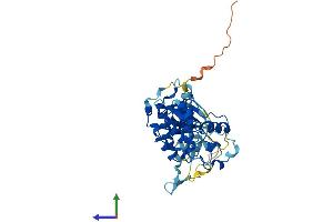 Protein Structure (PS) image for Cyclin-Dependent Kinase 10 (CDK10) (AA 1-360) protein (His tag) (ABIN7557232)