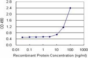 Sandwich ELISA detection sensitivity ranging from 10 ng/mL to 100 ng/mL.
