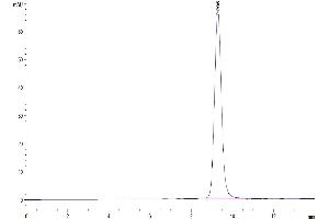 The purity of Mouse FOLR4/Juno is greater than 95 % as determined by SEC-HPLC.