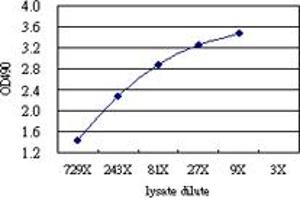 Sandwich ELISA detection sensitivity ranging from approximately 729x to 3x dilution of the CD5L 293T overexpression lysate (non-denatured). (CD5L (人) Matched Antibody Pair)