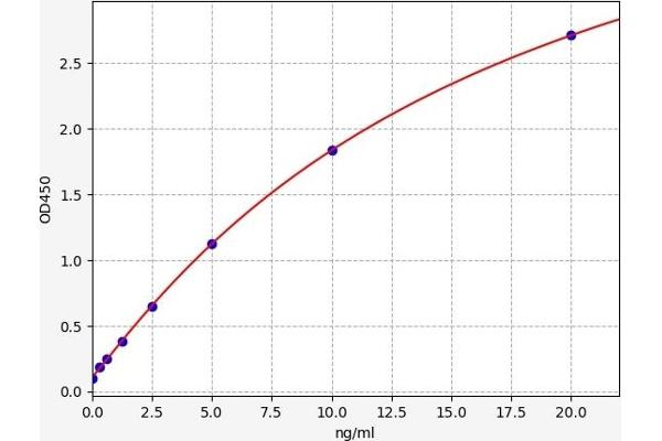 SIRT3 ELISA 试剂盒