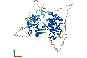 Protein Structure (PS) image for Dual Specificity Phosphatase 4 (DUSP4) (AA 1-398) protein (His tag) (ABIN7558500)