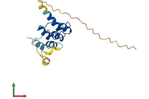 Protein Structure (PS) image for Ankyrin Repeat Domain 37 (ANKRD37) (AA 1-158) protein (His tag) (ABIN7552286)
