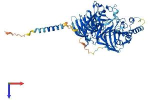 AlphaFold protein structure predicition of Mouse Recombinant Dbh Protein, UniprotID Q64237