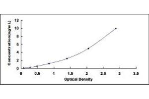 Typical standard curve (FASL ELISA 试剂盒)