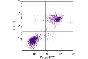 BALB/c mouse splenocytes were stained with Rat Anti-Mouse Kappa-FITC. (大鼠 anti-小鼠 Immunoglobulin kappa Chain Complex (Igk) Antibody)
