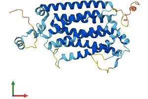 Protein Structure (PS) image for Organic Solute Transporter alpha (OSTALPHA) (AA 1-340) protein (His tag) (ABIN7559608)