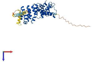 AlphaFold protein structure predicition of Human Recombinant ARMC12 Protein, UniprotID Q5T9G4