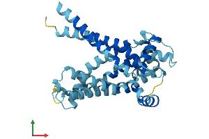 Protein Structure (PS) image for Solute Carrier Family 25 (Mitochondrial Carrier, Ornithine Transporter) Member 15 (SLC25A15) (AA 1-301) protein (His tag) (ABIN7550476)