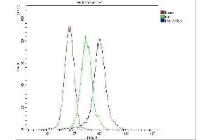 Flow Cytometry analysis of ANA-1 cells using anti-ARSA antibody (ABIN5692787).