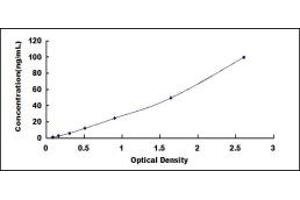 Typical standard curve (MVD ELISA 试剂盒)