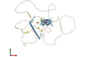 AlphaFold protein structure predicition of Human Recombinant RAB11FIP5 Protein, UniprotID Q9BXF6