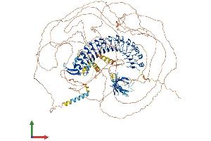 Protein Structure (PS) image for Erbb2 Interacting Protein (ERBB2IP) (AA 1-1402) protein (His tag) (ABIN7564231)