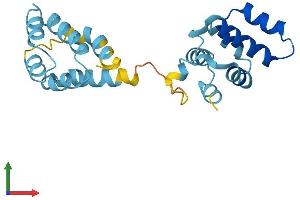 Protein Structure (PS) image for CASP2 and RIPK1 Domain Containing Adaptor with Death Domain (CRADD) (AA 1-199) protein (His tag) (ABIN7546836)
