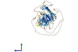 Protein Structure (PS) image for Promyelocytic Leukemia (PML) (AA 1-885) protein (His tag) (ABIN7563889)