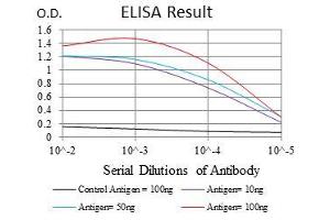 Black line: Control Antigen (100 ng), Purple line: Antigen(10 ng), Blue line: Antigen (50 ng), Red line: Antigen (100 ng), (FGF4 抗体  (AA 62-123))