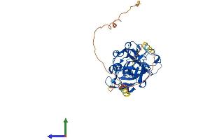 Protein Structure (PS) image for Chromosome 3 Open Reading Frame 37 (C3ORF37) (AA 1-354) protein (His tag) (ABIN7548329)