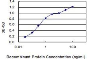 Detection limit for recombinant GST tagged LYPD3 is 0. (LYPD3 抗体  (AA 1-346))