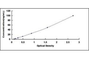 Typical standard curve (INPP4B ELISA 试剂盒)