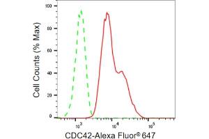 Flow cytometric analysis of CDC42 expression in HepG2 cells using CDC42 antibody (ABIN7798014), 1:2,000). (Recombinant CDC42 抗体)