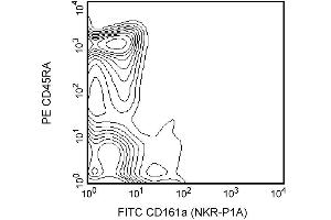 Blocking of Fc-mediated binding to FcgammaII receptors (CD32) on rat splenocytes. (Fc gamma RII (CD32) 抗体)