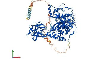 Protein Structure (PS) image for UDP-N-Acetyl-alpha-D-Galactosamine:polypeptide N-Acetylgalactosaminyltransferase 7 (GalNAc-T7) (GALNT7) (AA 1-657) protein (His tag) (ABIN7554003)