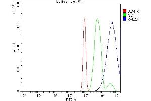 Flow Cytometry analysis of RH35 cells using anti-RPL23 antibody (ABIN7599808). (RPL23 抗体  (AA 12-136))