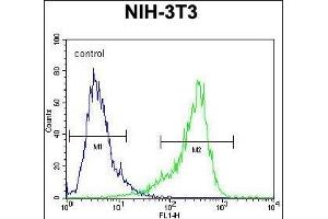 CYP26A1 Antibody (C-term) (ABIN650717 and ABIN2837925) flow cytometric analysis of NIH-3T3 cells (right histogram) compared to a negative control cell (left histogram). (CYP26A1 抗体  (C-Term))