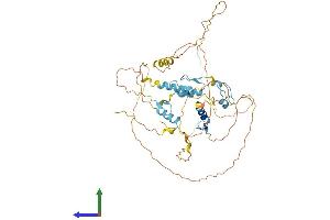 Protein Structure (PS) image for Insulinoma-Associated 2 (INSM2) (AA 1-493) protein (His tag) (ABIN7561702)