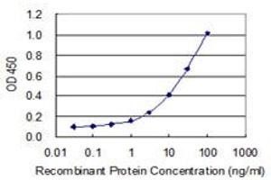 Detection limit for recombinant GST tagged ZNF214 is 0. (ZNF214 抗体  (AA 210-319))