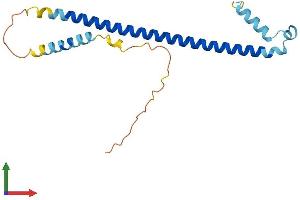 Protein Structure (PS) image for Activating Transcription Factor 3 (ATF3) (AA 1-181) protein (His tag) (ABIN7552464)