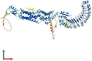 AlphaFold protein structure predicition of Mouse Recombinant Lrrc8c Protein, UniprotID Q8R502