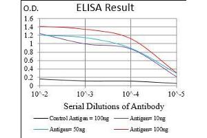 Black line: Control Antigen (100 ng), Purple line: Antigen(10 ng), Blue line: Antigen (50 ng), Red line: Antigen (100 ng), (ADRP 抗体  (AA 286-437))