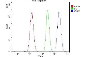 Flow Cytometry analysis of SiHa cells using anti-KAT13A/SRC1 antibody (ABIN3042385).