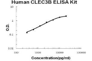 Human Tetranectin/CLEC3B PicoKine ELISA Kit standard curve (CLEC3B ELISA 试剂盒)