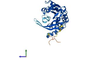 Protein Structure (PS) image for Methyltransferase Like 6 (METTL6) (AA 1-284) protein (His tag) (ABIN7549367)