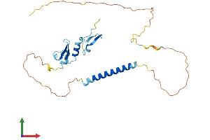 AlphaFold protein structure predicition of Mouse Recombinant Tnfrsf13b Protein, UniprotID Q9ET35