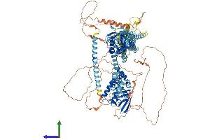 Protein Structure (PS) image for Potassium Voltage-Gated Channel, Subfamily H (Eag-Related), Member 4 (KCNH4) (AA 1-1017) protein (His tag) (ABIN7554325)