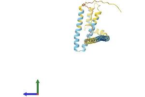 AlphaFold protein structure predicition of Mouse Recombinant Reep1 Protein, UniprotID Q8BGH4