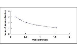 Typical standard curve (Adrenomedullin ELISA 试剂盒)