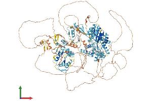 Protein Structure (PS) image for Pogo Transposable Element with ZNF Domain (POGZ) (AA 1-1409) protein (His tag) (ABIN7564475)