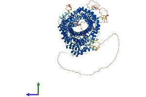 Protein Structure (PS) image for HEAT Repeat Containing 6 (HEATR6) (AA 1-1184) protein (His tag) (ABIN7564077)